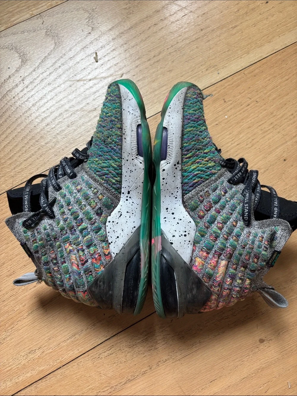 Nike description lebron